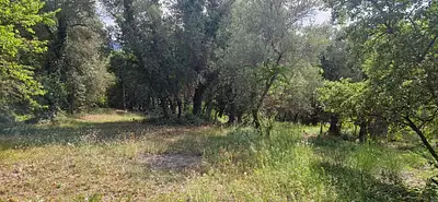 Terrain à bâtir, 1 980 m²