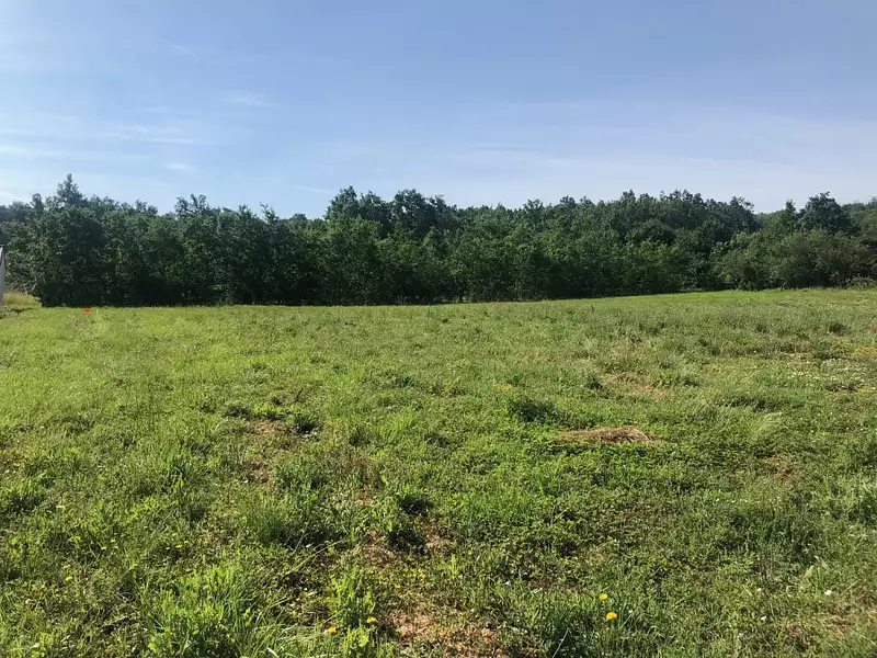 Terrain à bâtir, 1 500 m² - Saint-Aignan (82100)