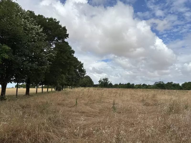 Maison neuve, 80 m² - Vérines (17540)