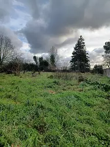 Maison neuve, 75 m²