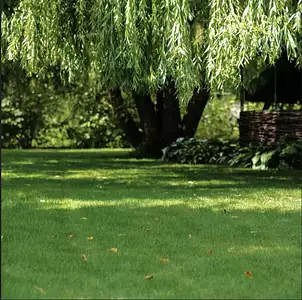 Terrain à bâtir, 280 m²