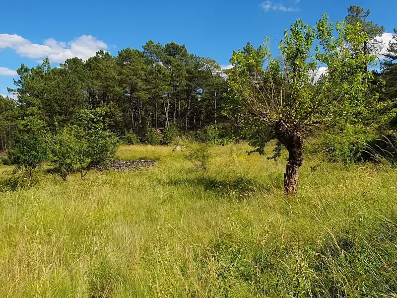 Terrain à bâtir, 1 140 m² - Chambonas (07140)