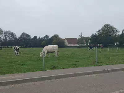 Maison neuve, 160 m²