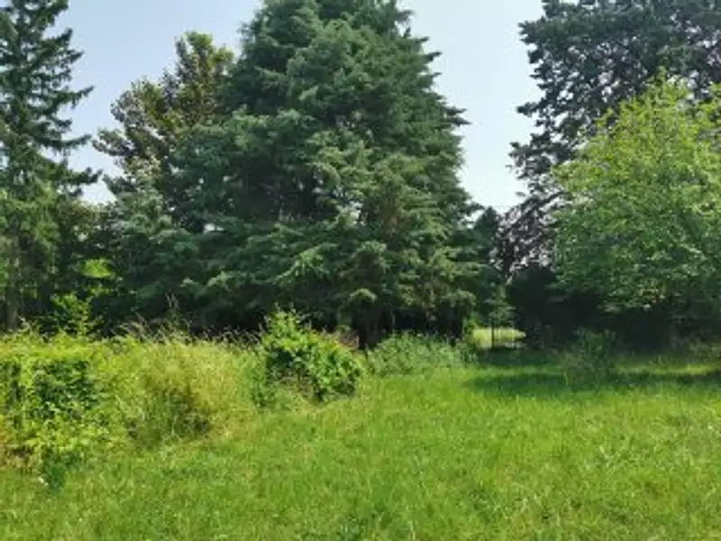 Terrain à bâtir, 1 134 m² - Savonnières (37510)