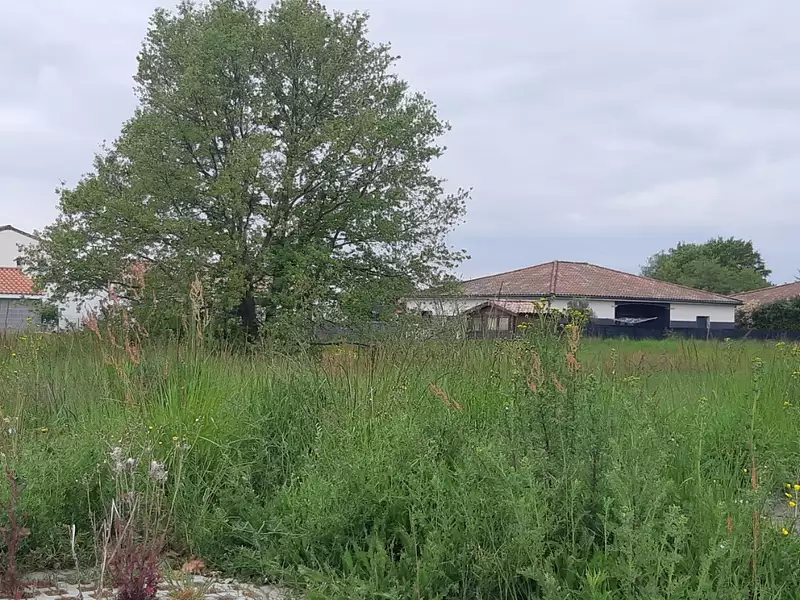 Maison neuve, 83 m² - Dieupentale (82170)