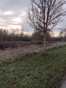 Terrain à bâtir, 693 m²