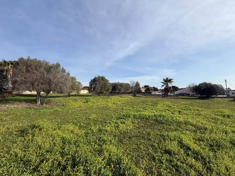 Terrain à bâtir, 558 m² - Roquebrune-sur-Argens (83520)