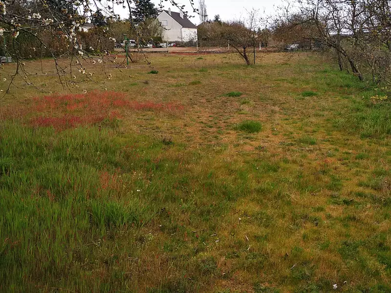 Terrain à bâtir, 565 m² - Luzillé (37150)