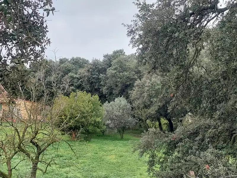 Terrain à bâtir, 450 m² - Plan-d'Orgon (13750)