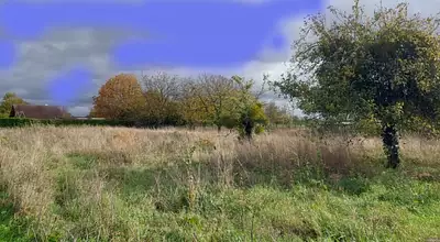 Terrain à bâtir, 2 043 m²