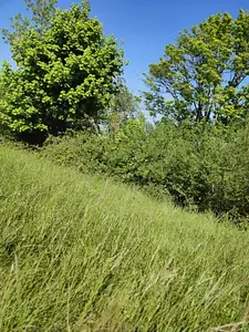 Terrain à bâtir, 1 200 m²