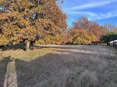 Terrain à bâtir, 1 031 m²