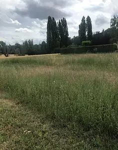 Terrain à bâtir, 1 300 m²