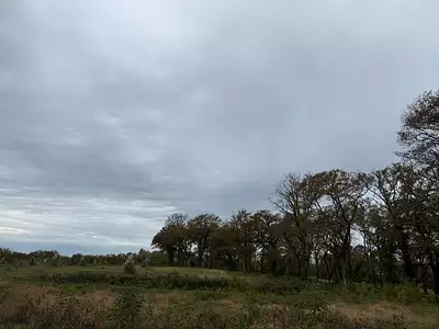 Terrain à bâtir, 687 m²