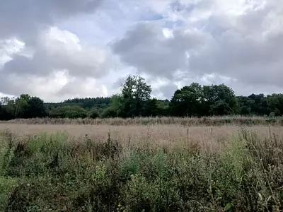 Maison neuve, 70 m²