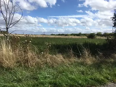 Terrain à bâtir, 1 283 m²