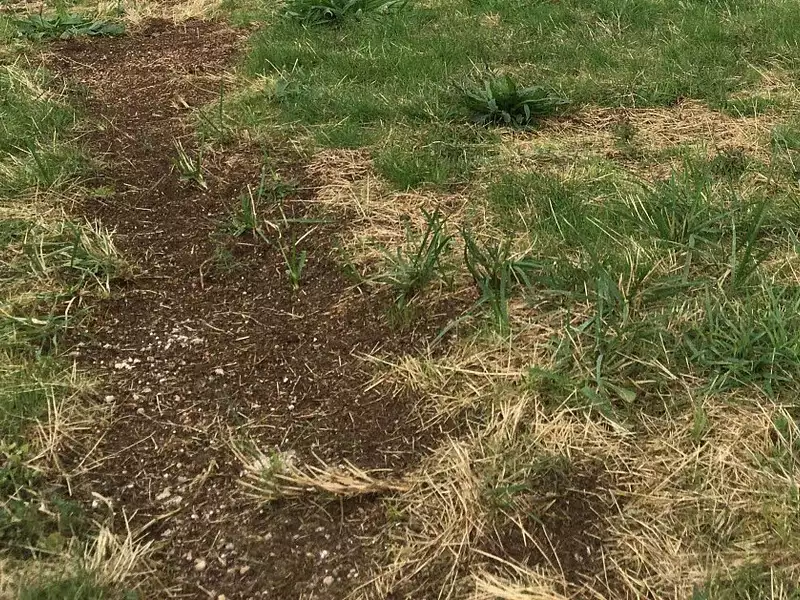 Terrain à bâtir, 500 m² - Chemillé (49120)