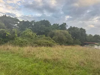 Maison neuve, 80 m²