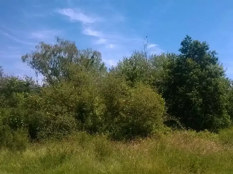 Terrain à bâtir, 1 110 m² - Dhuizon (41220)