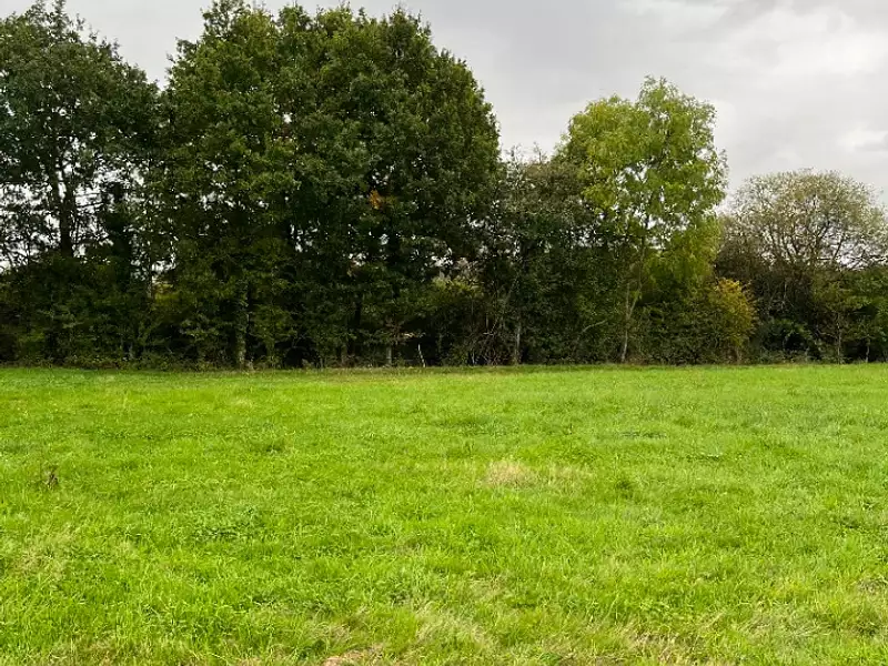 Terrain à bâtir, 447 m² - Alençon (61000)