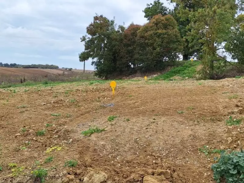 Maison neuve, 73 m² - Ségoufielle (32600)
