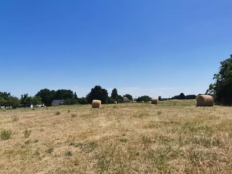 Maison neuve, 90 m² - Beaumont-Louestault (37360)