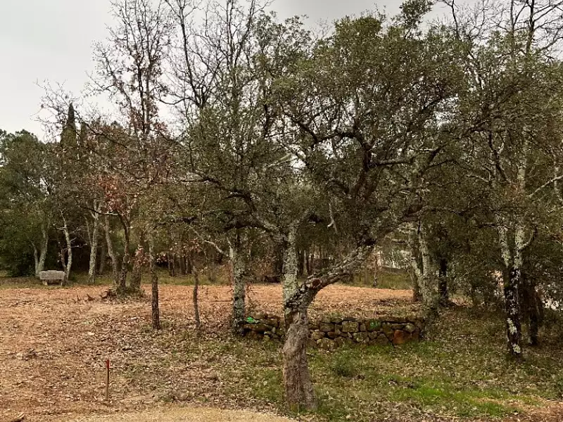 Terrain à bâtir, 600 m² - Vidauban (83550)