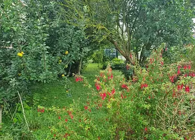 Maison neuve, 117 m²