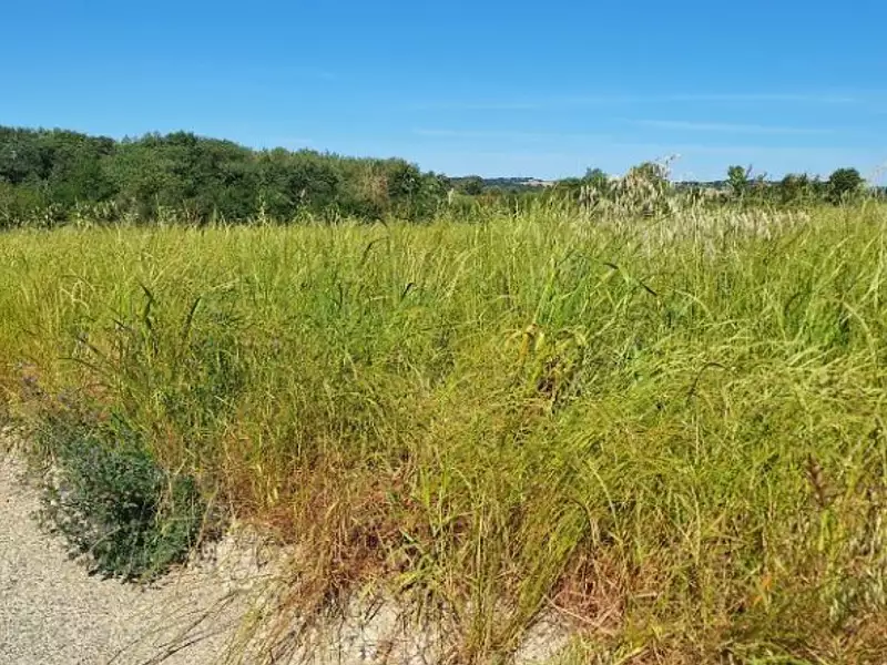 Terrain à bâtir, 1 000 m² - Bretx (31530)