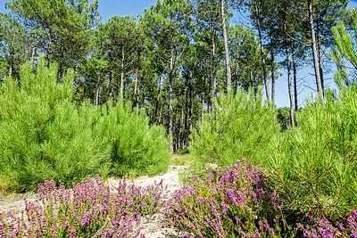 Terrain à bâtir, 570 m²