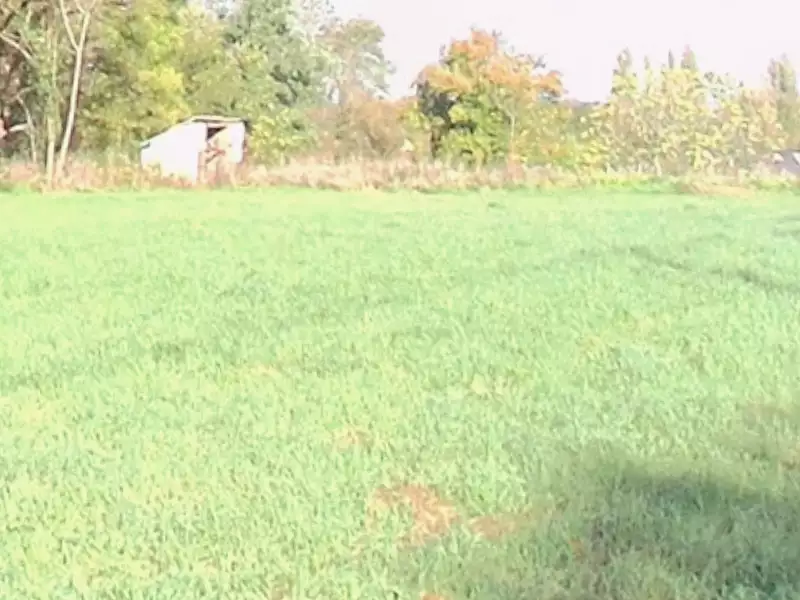 Terrain à bâtir, 547 m² - Gennes-Val-de-Loire (49350)