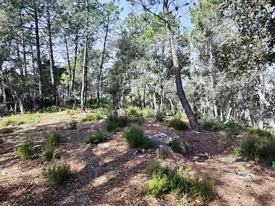 Terrain à bâtir, 713 m²