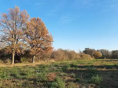 Terrain à bâtir, 542 m²