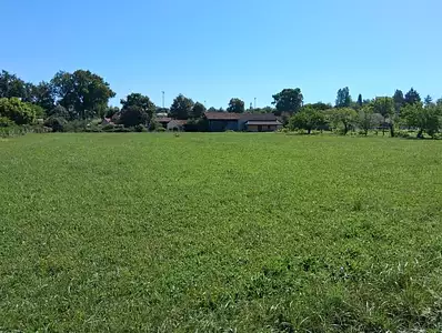 Terrain à bâtir, 1 135 m²