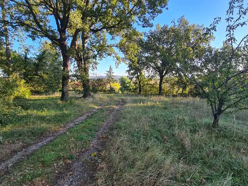 Maison neuve, 50 m² - Prades (81220)