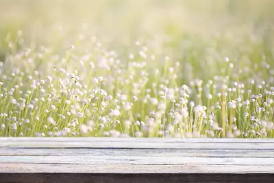 Terrain à bâtir, 655 m²