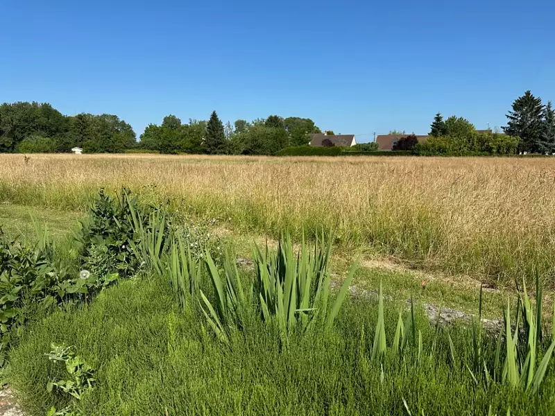 Maison neuve, 82 m² - Doue (77510)