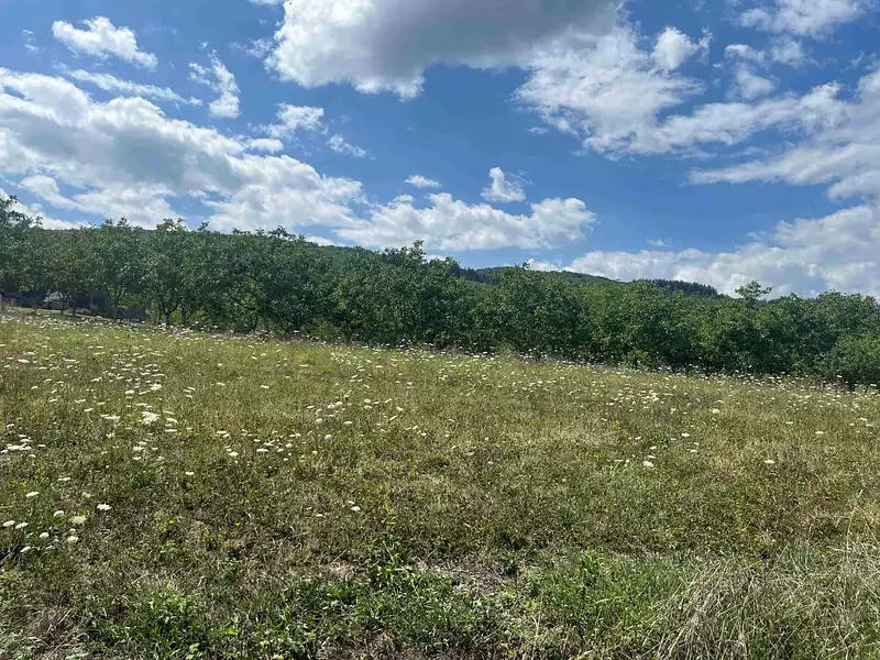 Terrain à bâtir, 1 165 m² - Lanzac (46200)