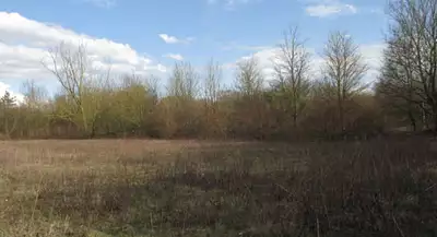 Terrain à bâtir, 2 965 m²