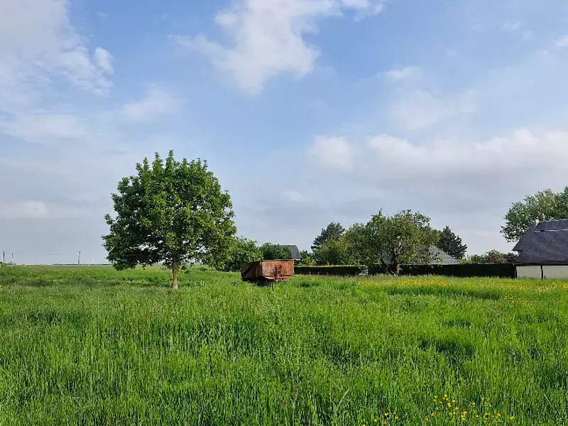 Terrain à bâtir, 600 m² - Servaville-Salmonville (76116)