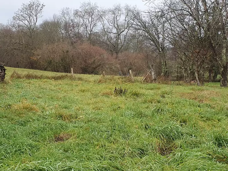 Terrain à bâtir, 794 m² - Val de Virvée (33240)