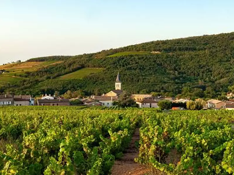 Terrain à bâtir, 900 m² - Juliénas (69840)