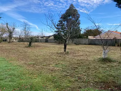 Maison neuve, 80 m²