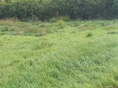 Terrain à bâtir, 338 m²