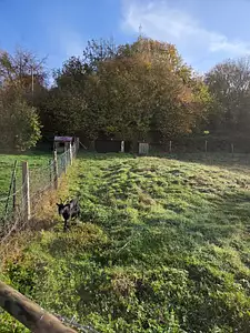 Terrain à bâtir, 1 000 m²