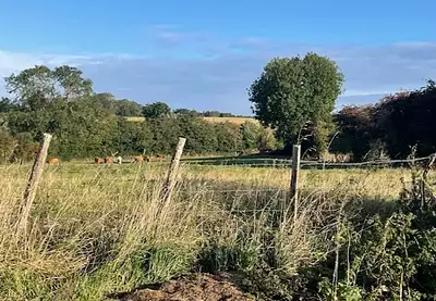 Terrain à bâtir, 320 m²