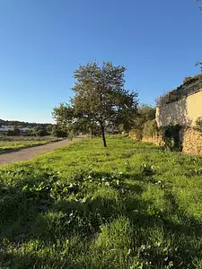 Terrain à bâtir, 804 m²