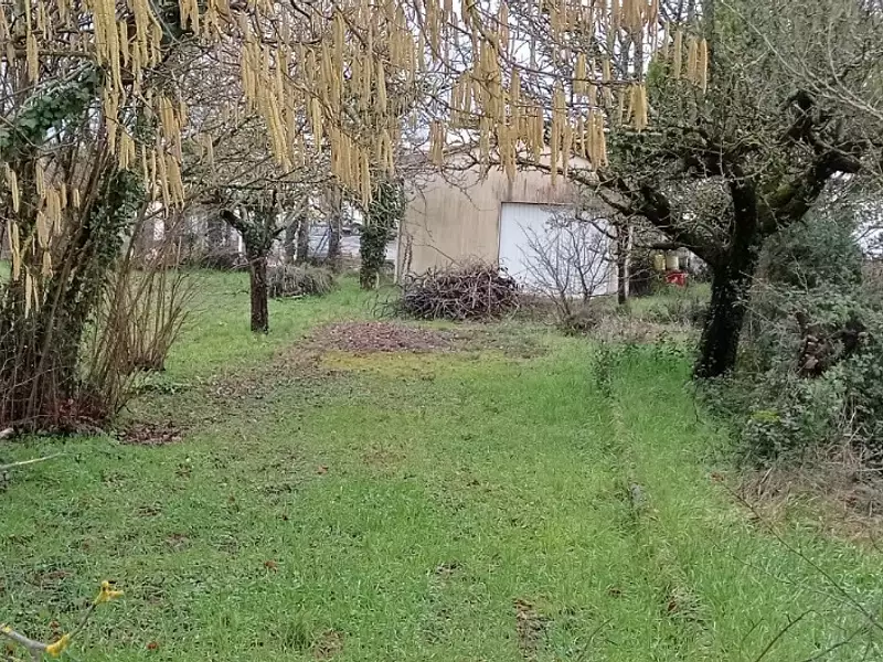Terrain à bâtir, 738 m² - Semussac (17120)
