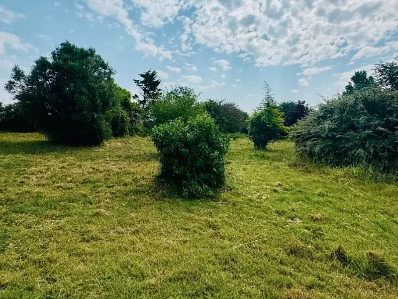 Terrain à bâtir, 3 837 m² - Port-des-Barques (17730)