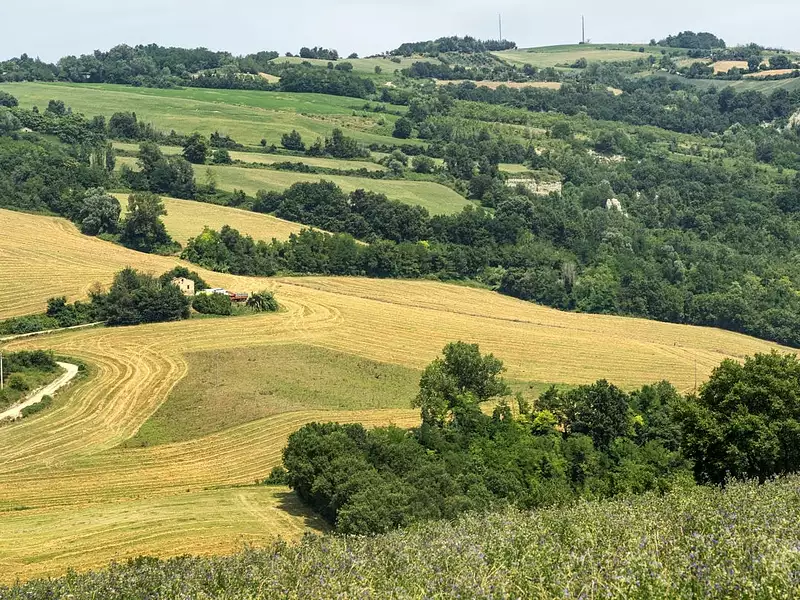 Maison neuve, 95 m² - La Selle-sur-le-Bied (45210)